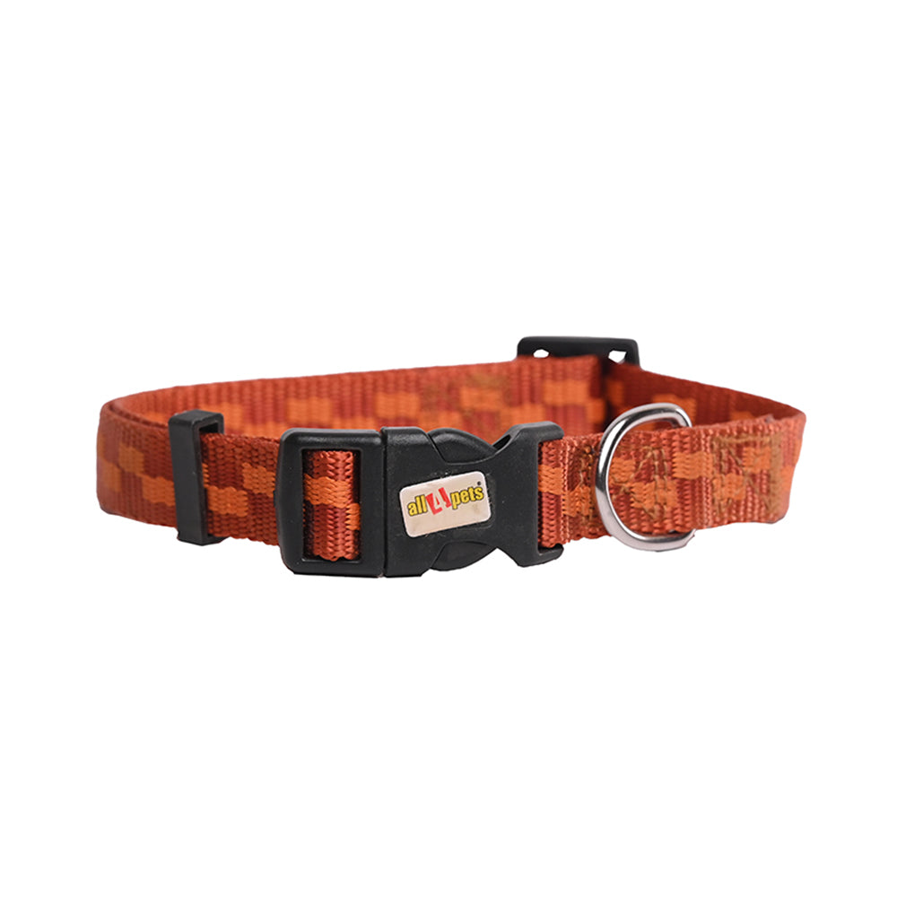 NYLON DOG COLLAR